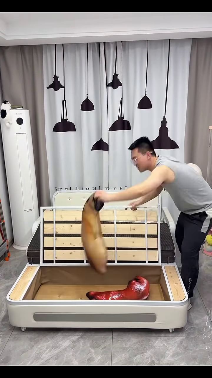 ๐๏ธโก๏ธ๐๏ธ The Sofa That Transforms into a Bed โ Comfort & Function in One! ๐ - Image 2