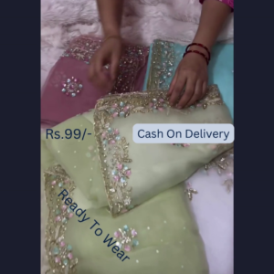 Lime Frost Embroidered Organza Dupatta